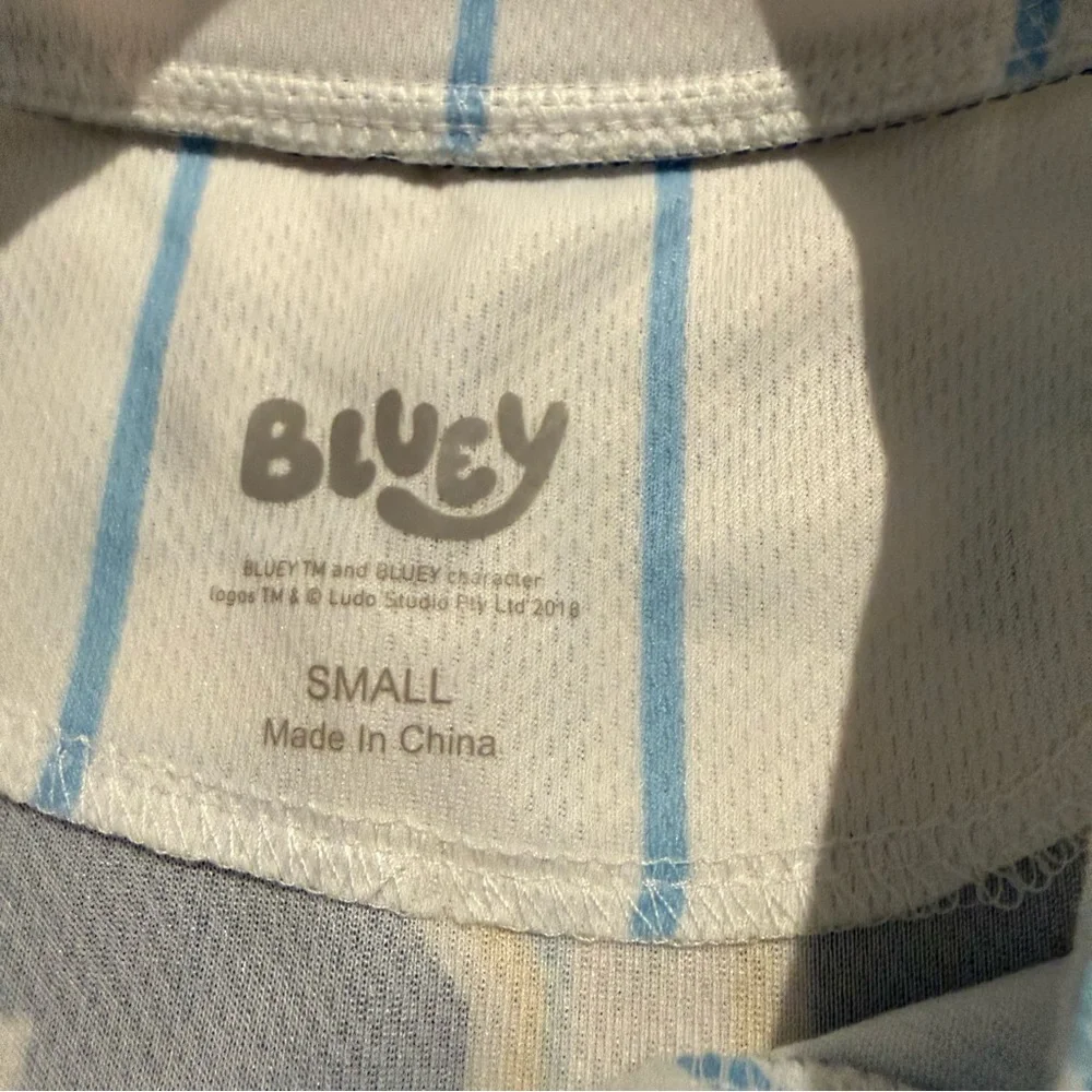 Bluey boys baseball